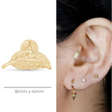 Leaf Flat Back Stud Earrings in Solid 14k Yellow Gold