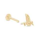 Hummingbird Flat Back Stud Earrings in Solid 14k Yellow Gold