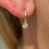 Cubic Zirconia Charm Hoop in Solid 14k Yellow Gold