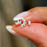 Solid 14k Gold Marquise Opal Stud Earring