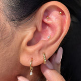 Ball Flat Back Stud Earrings in Solid 14k Yellow Gold
