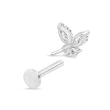 Fluttering Butterfly Flat Back Stud Earrings in Solid 14k White Gold