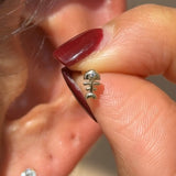 Fishbone Flat Back Stud Earrings in Solid 14k Yellow Gold