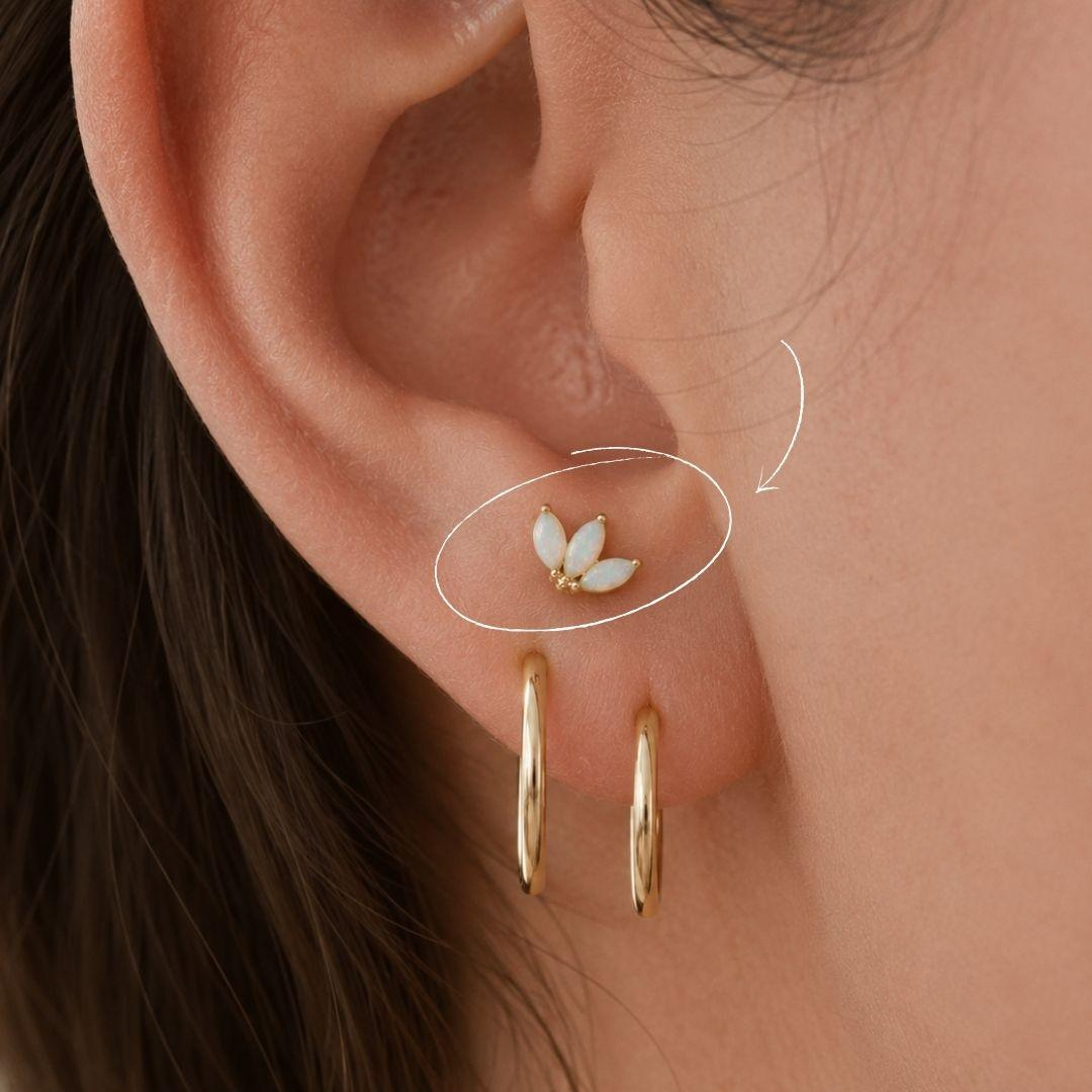 Is Your Ear a Good Fit for an Anti-Tragus?