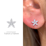 Marquise Flower Flat Back Earring