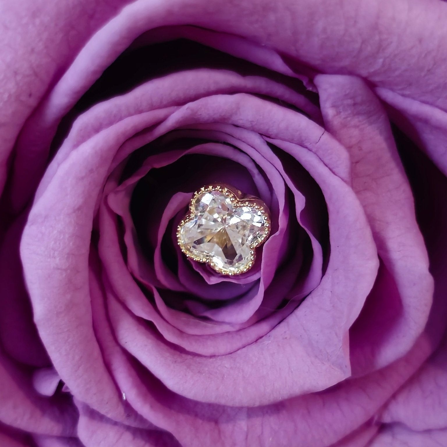 a close up of a purple rose with a diamond center