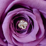 a close up of a purple rose with a diamond center