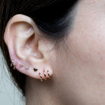 an ear styled with five small gold hoops and three studs