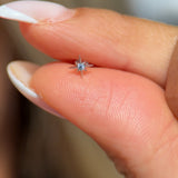 Solid 14k Yellow Gold CZ Starburst Stud Earring