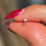 Cupid's Arrow Diamond Studded Flat Back Stud Earrings in Solid 14k Rose Gold