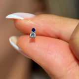 Diamond and Sapphire Flat Back in Solid 14k Yellow Gold