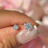 Seven Diamond Flower Flat Back Stud in Solid 14k Yellow Gold