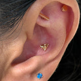 Gold Disc Flat Back Stud Earrings in Solid 14k Yellow Gold