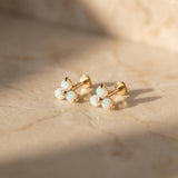 Yellow Gold Trinity Opal Cluster Flat Back Stud