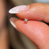 Solid 14k Yellow Gold CZ Beaded Stud Earring