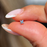 Solid 14k White Gold CZ Beaded Stud Earring