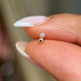 Beaded CZ Drop Stud Earring in 14k Yellow Gold