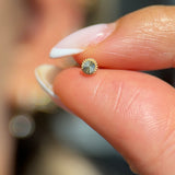 Solid 14k Yellow Gold Diamond Cut Disc Flat Back Stud Earring