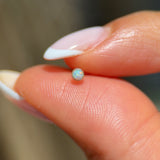 Solid 14k Gold Round Opal Stud Earring