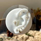 Twin Band Statement Hoop in Solid 14k Yellow Gold