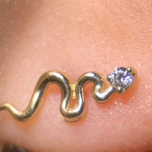 Gemstone Snake Flat Back Stud Earrings in Solid 14k Yellow Gold