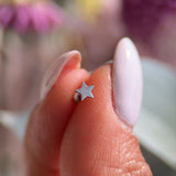 Star Flat Back Stud in Solid 14k White Gold