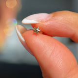 Solid 14k Yellow Gold Star Flat Back Stud Earring