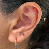 Gold Disc Flat Back Stud Earrings in Solid 14k Yellow Gold