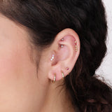 left ear lobe with several piercings