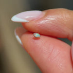 Yellow Gold Triple Marquise Opal Flat Back Earring