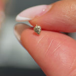 Solid 14k Yellow Gold Strawberry Flat Back Stud