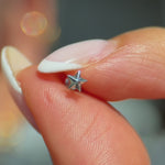 Solid 14k White Gold Star Flat Back Stud Earring