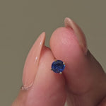 White Gold Blue Sapphire Flat Back Earring
