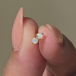 Yellow Gold Two Stone Opal Flat Back Stud Earring