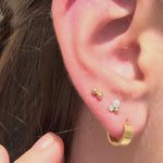 Wide Huggie Hoop in Solid 14k Yellow Gold