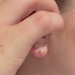 Gold Disc Flat Back Stud Earrings in Solid 14k Yellow Gold