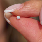 Yellow Gold Opal Prong Set Flat Back Earring