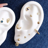 a variety of piercing earrings on an ear mannequin