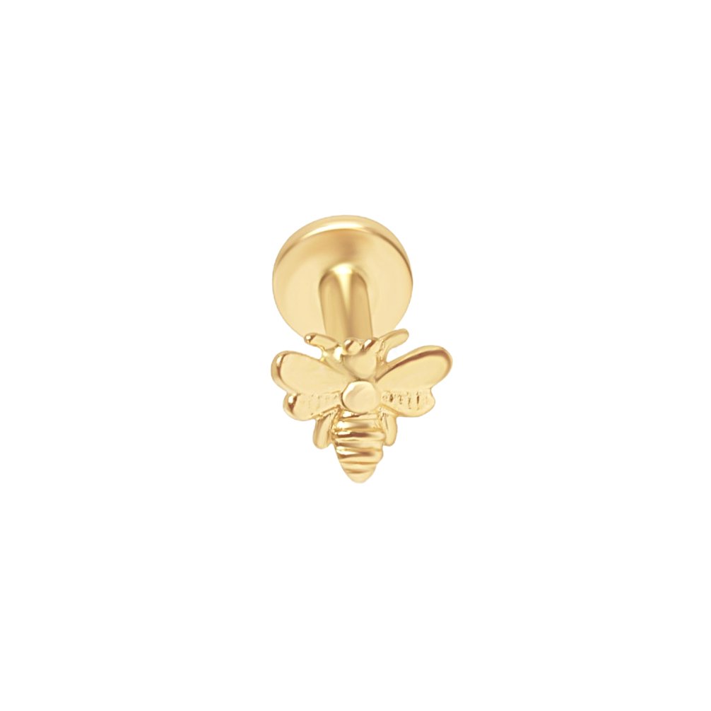 Minimalist Bee Flat Back Stud Earrings Estella Collection 17914 14k Earrings Flat Back Stud Earrings #tag4# #tag5# #tag6# #tag7# #tag8# #tag9# #tag10# 14K Yellow Gold 5MM